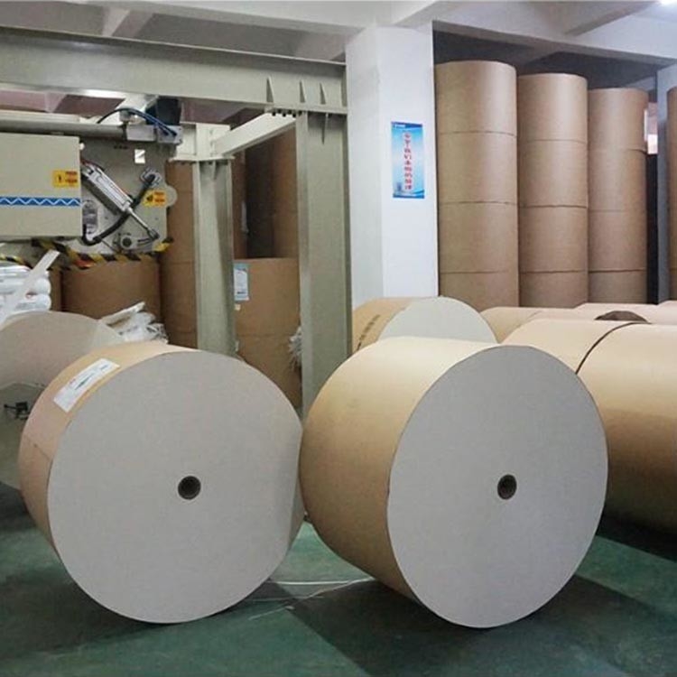170g 190g Paper Cup Making Raw Material Pe Coated Paper Cup Roll
