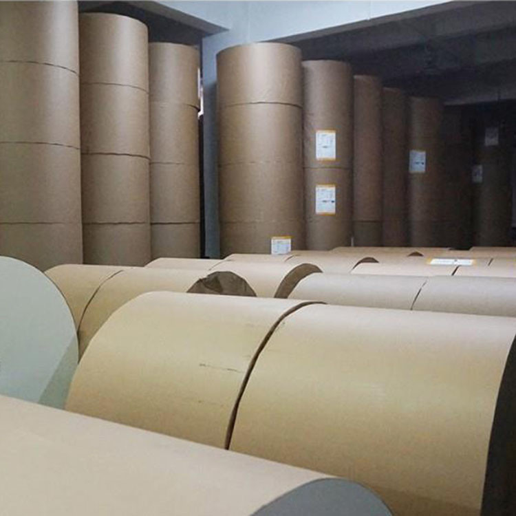 170g 190g Paper Cup Making Raw Material Pe Coated Paper Cup Roll